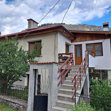 Guest House Denitsa Тріґрад Екстер'єр фото
