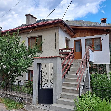 Guest House Denitsa Тріґрад Екстер'єр фото